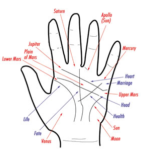 palmistry